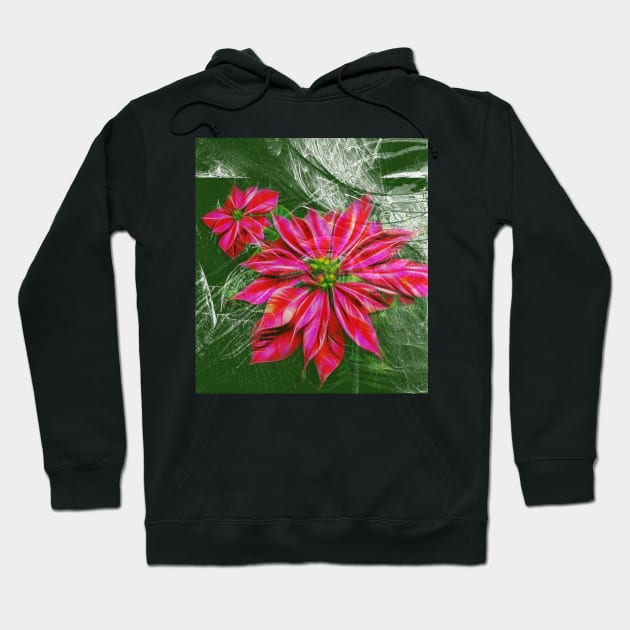 Abstract vibrant red poinsettia on green texture Hoodie by hereswendy